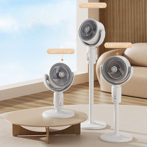 Fan