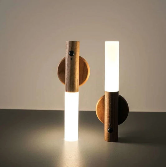 INDUCTION LAMP LIGHT